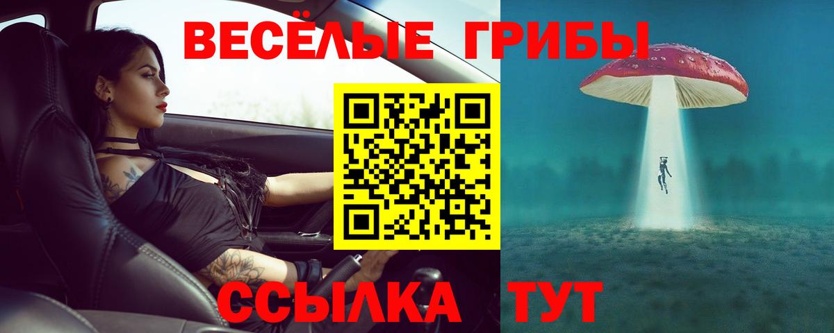 Галлюциногенные грибы Psilocybine cubensis  Вход с VPN  Белорецк 