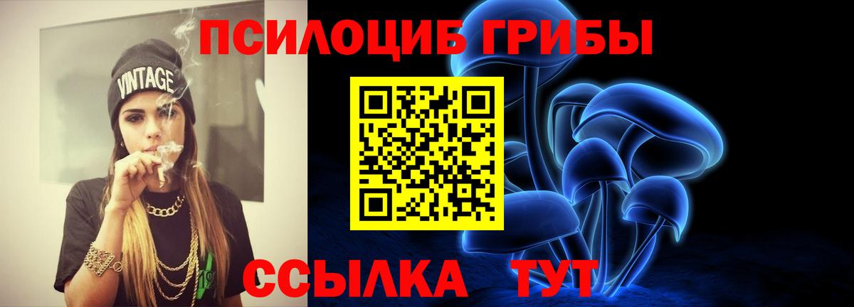 Галлюциногенные грибы Cubensis Белорецк
